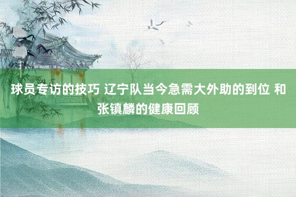 球员专访的技巧 辽宁队当今急需大外助的到位 和张镇麟的健康回顾