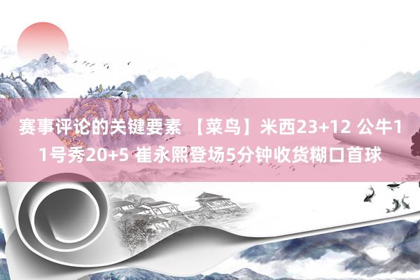 赛事评论的关键要素 【菜鸟】米西23+12 公牛11号秀20+5 崔永熙登场5分钟收货糊口首球