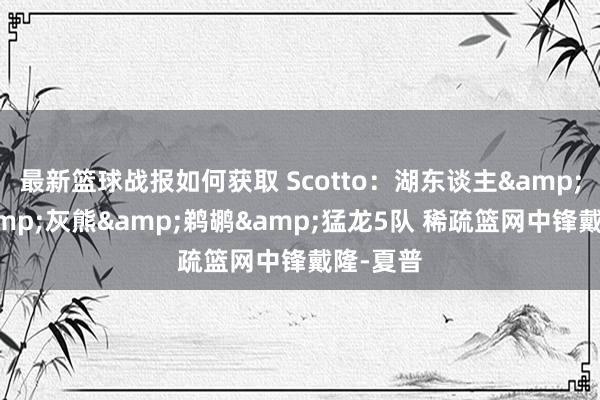 最新篮球战报如何获取 Scotto：湖东谈主&快船&灰熊&鹈鹕&猛龙5队 稀疏篮网中锋戴隆-夏普