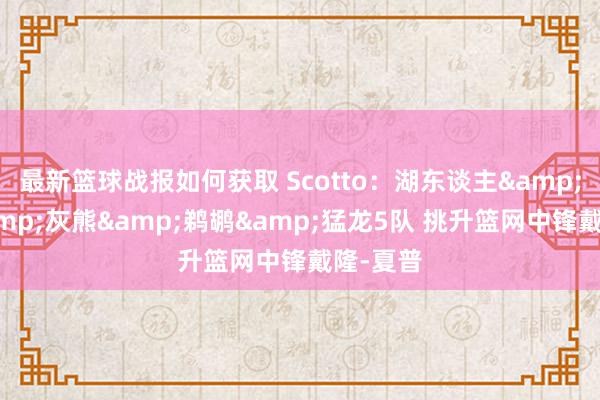 最新篮球战报如何获取 Scotto：湖东谈主&快船&灰熊&鹈鹕&猛龙5队 挑升篮网中锋戴隆-夏普