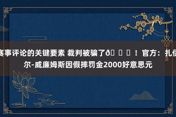 赛事评论的关键要素 裁判被骗了😅！官方：扎伊尔-威廉姆斯因假摔罚金2000好意思元